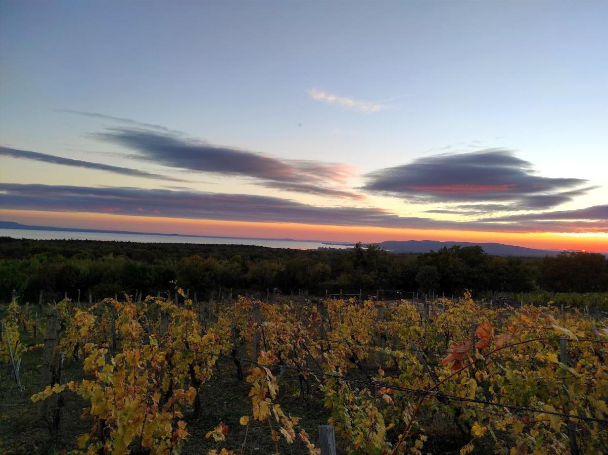 Napraszállás Vendégház Balatonakali Exterior foto