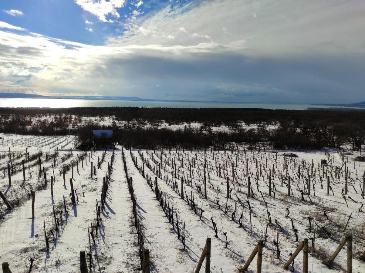 Napraszállás Vendégház Balatonakali Exterior foto